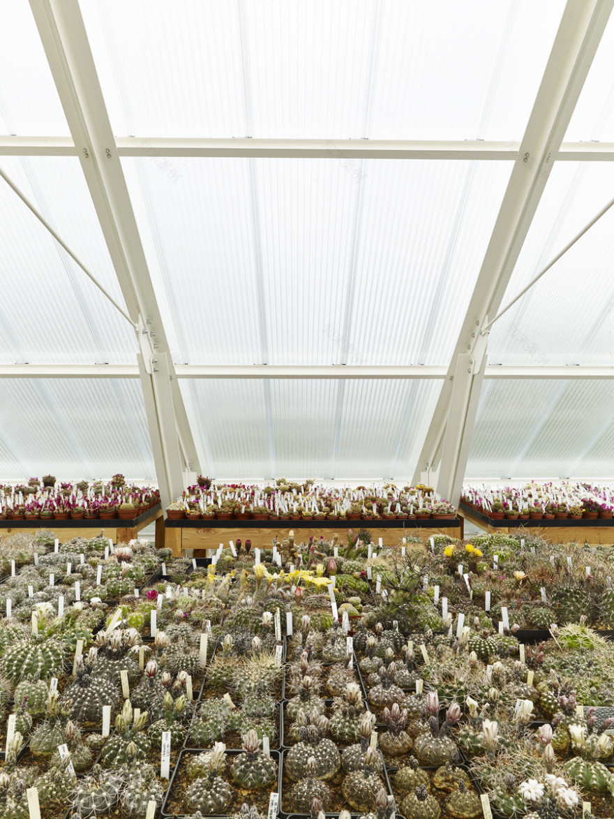 绿意盎然的家庭温室别墅-25