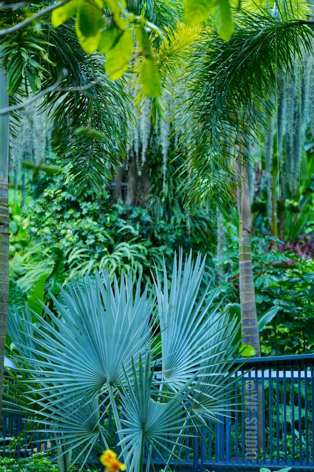 广州云萝植物园丨中国广州丨广州普邦园林股份有限公司-15