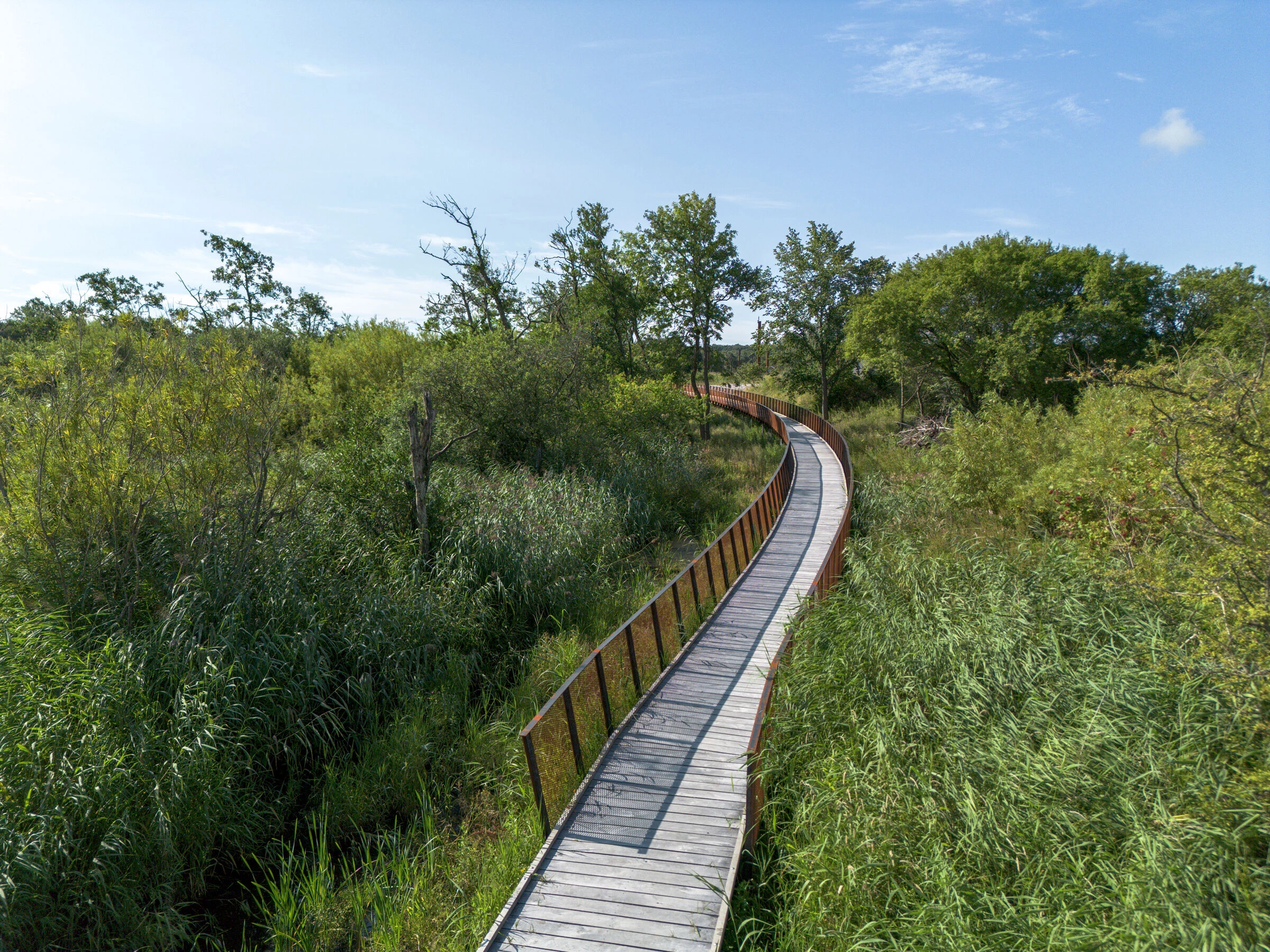 丹麦鹳草甸项目丨C.F. Møller Architects-10