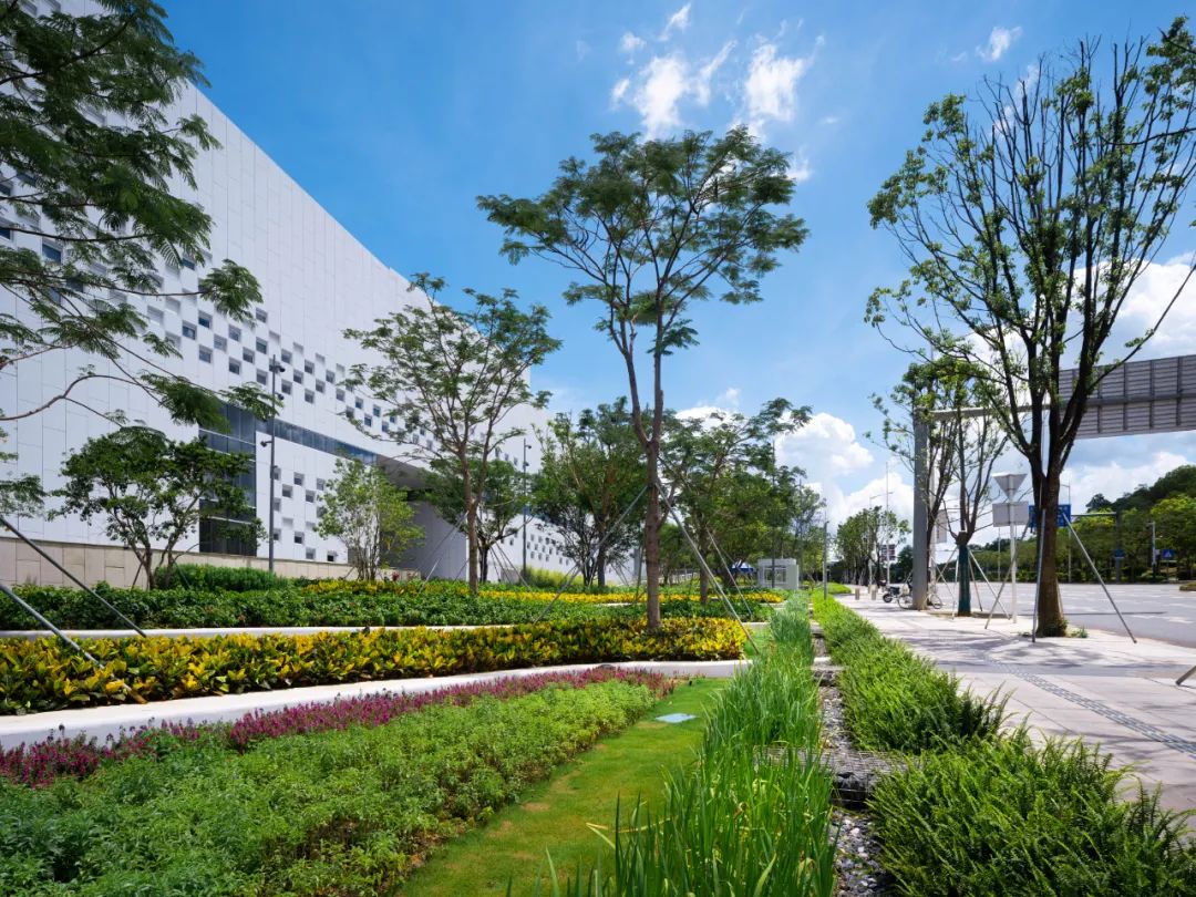 当海绵遇上艺术｜深圳光明文化艺术中心-68