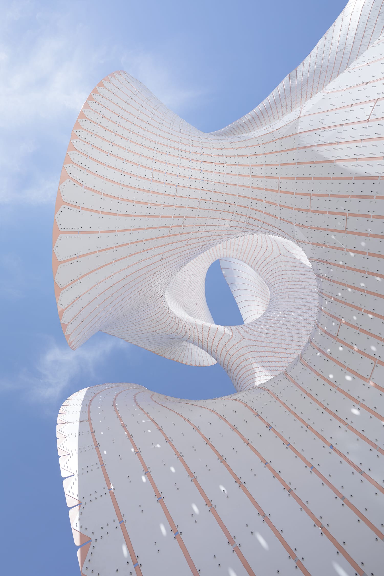 哈萨克斯坦白色卷曲亭-19