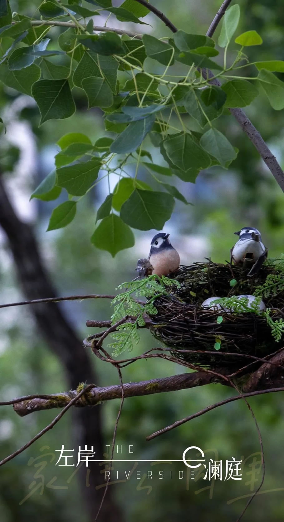 广州中海·左岸澜庭园区丨中国广州丨成都赛肯思创享生活景观设计股份有限公司-0