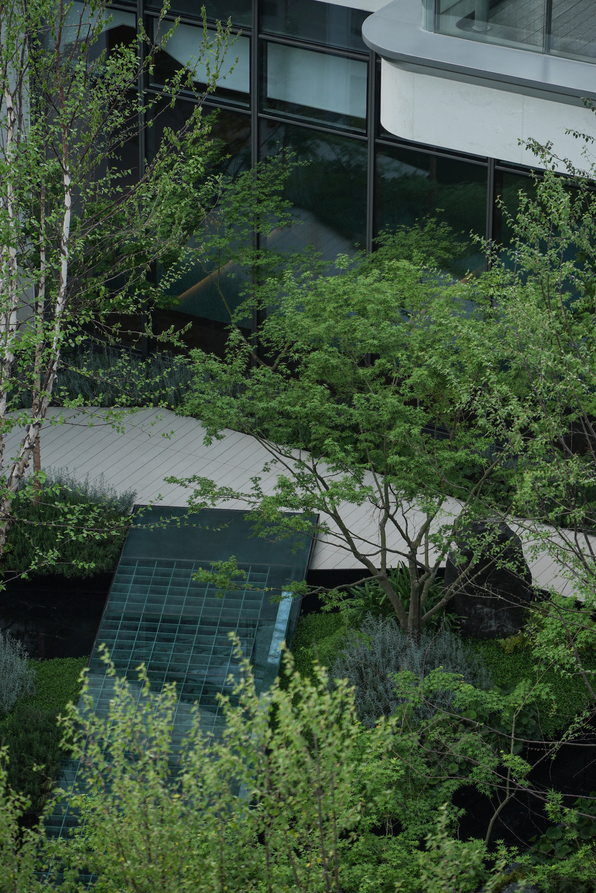 苏州蠡棠森屿示范区丨MIND 迈德景观-92