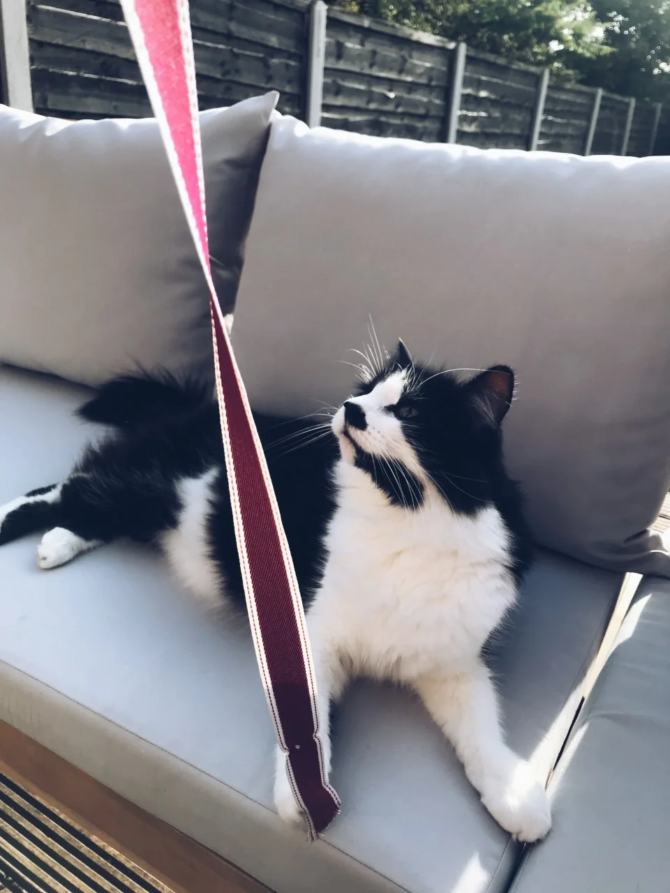 丨英国曼彻斯特-16