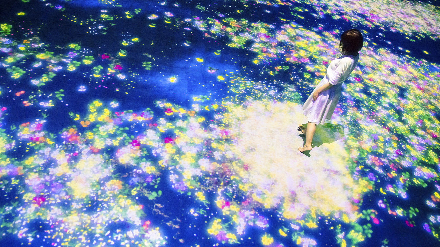 teamLab 2017 深圳北京大展：舞蹈吧，艺术！寓教于乐的未来游乐园！-57