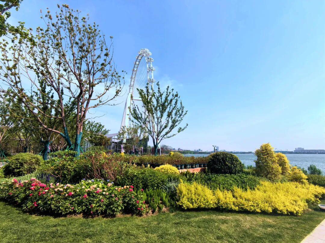 金鸡湖右岸城市客厅亮相！苏州新地标抢先看→-23