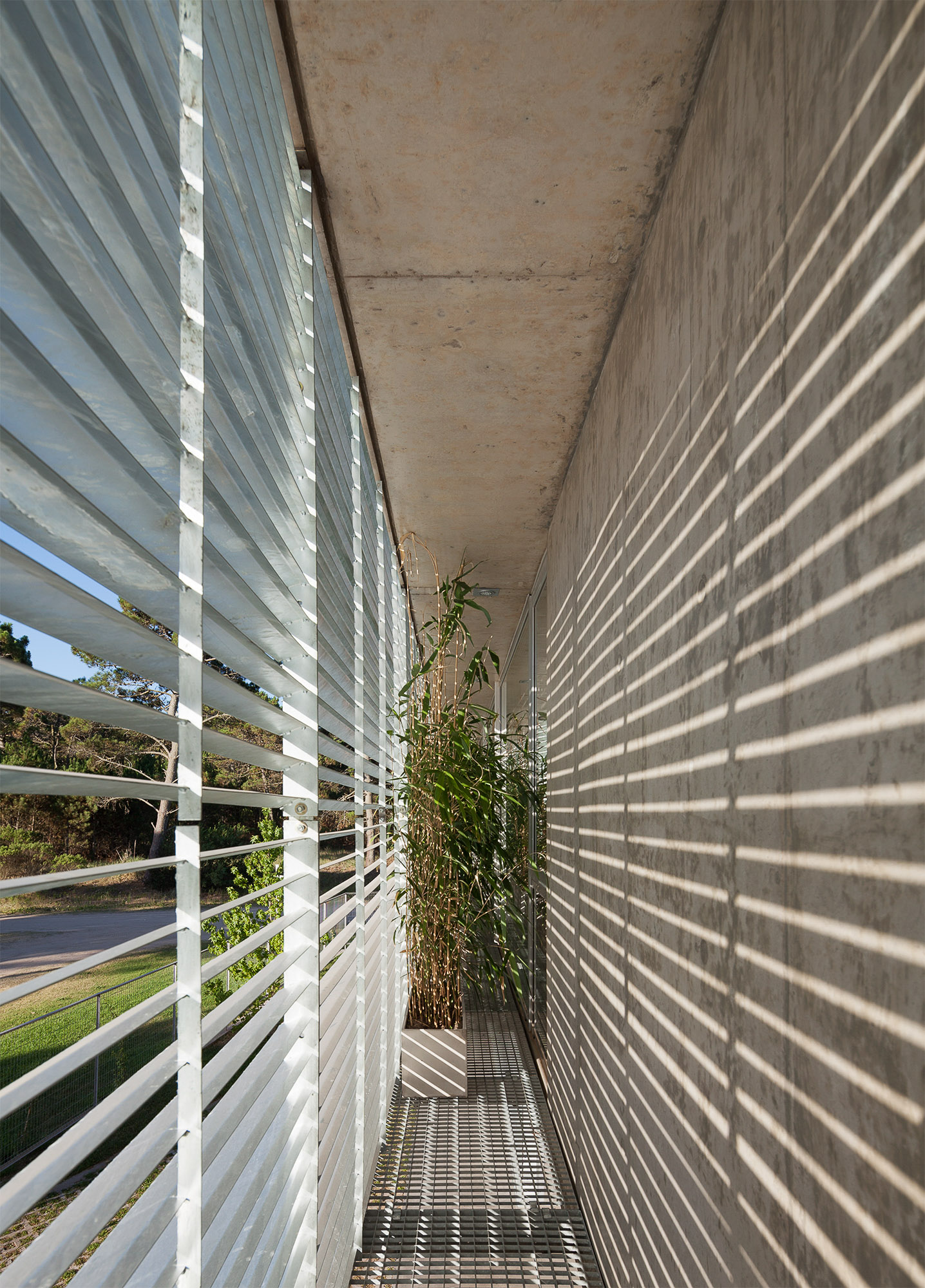 悬浮森林中的宁静家园-53