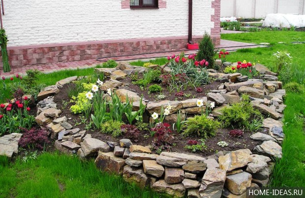 自制阿尔卑斯式假山（阿尔卑斯式花坛）-118