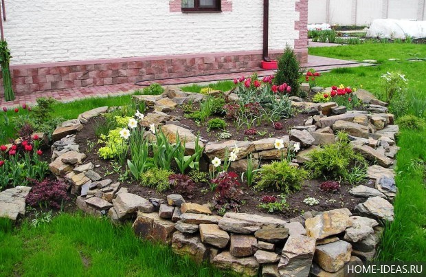 自制阿尔卑斯式假山(阿尔卑斯式花坛)-118