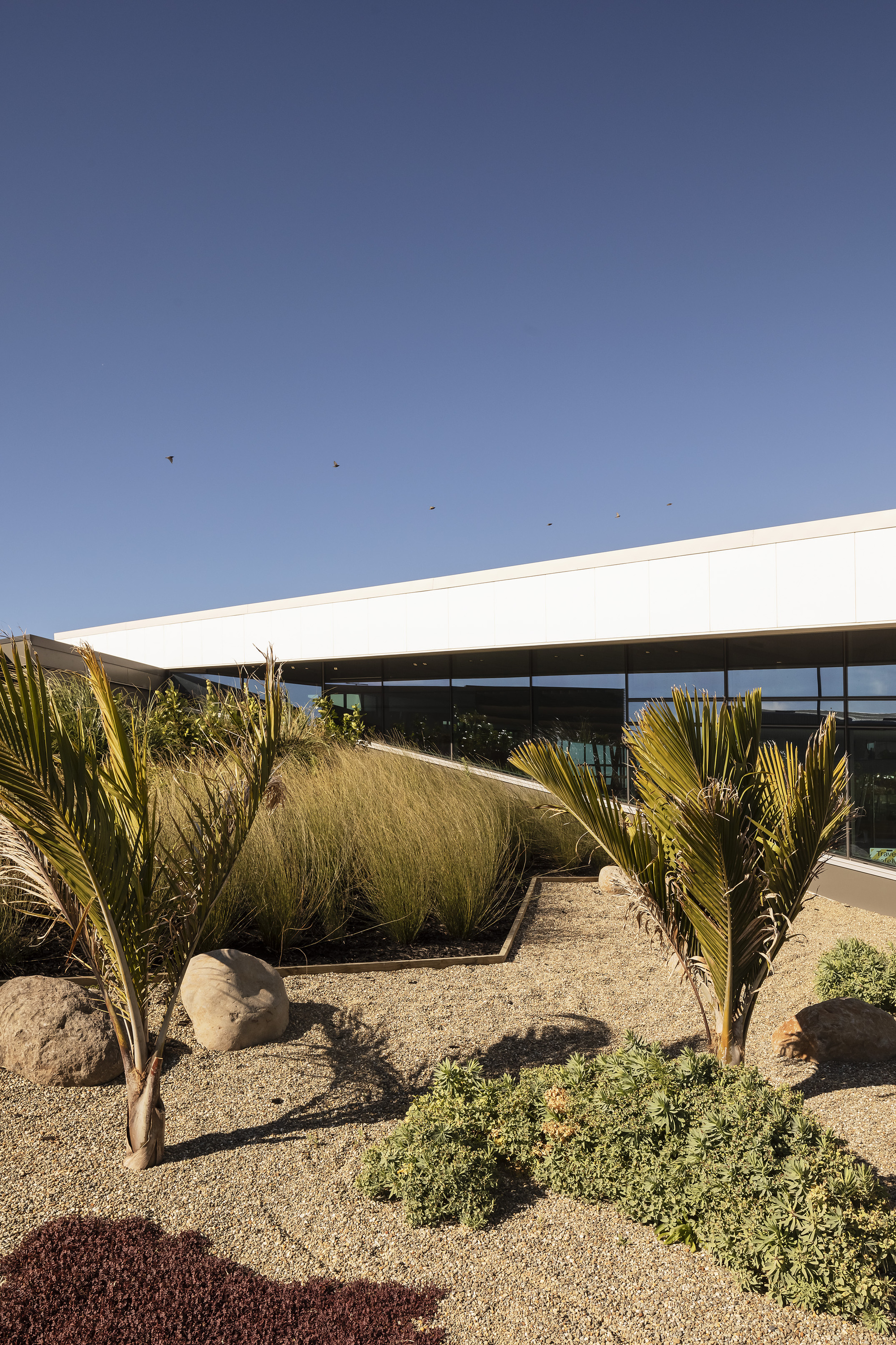 新西兰新普利茅斯机场 Puketapu 文化门户丨Beca Design Practice-11