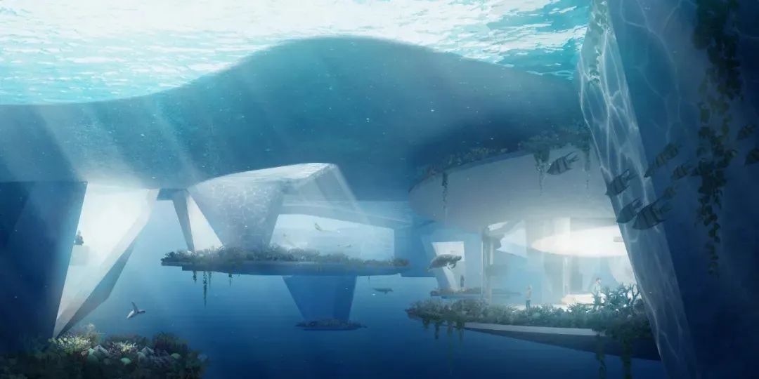 ECO 岛海岛酒店 | 自然与设计的完美融合-22