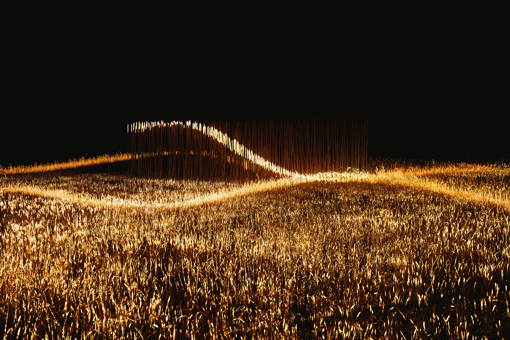 Phorest灯光装置丨1024 architecture-16