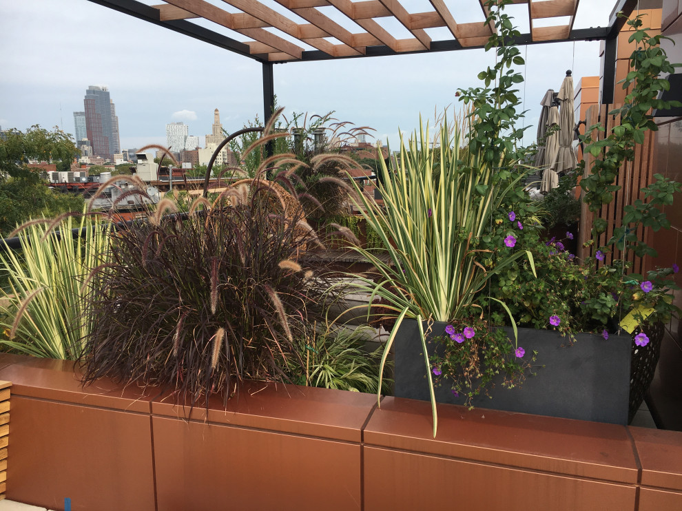 Cobble Hill Rooftop & Pergola-23