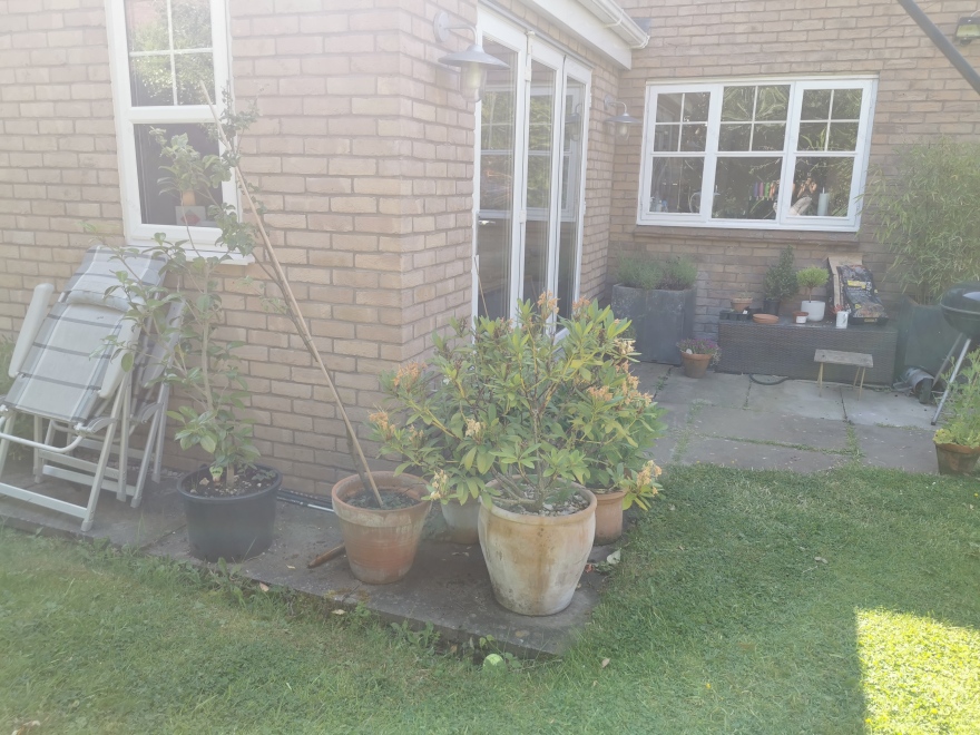 当代花园丨Blue Iris Landscapes-25