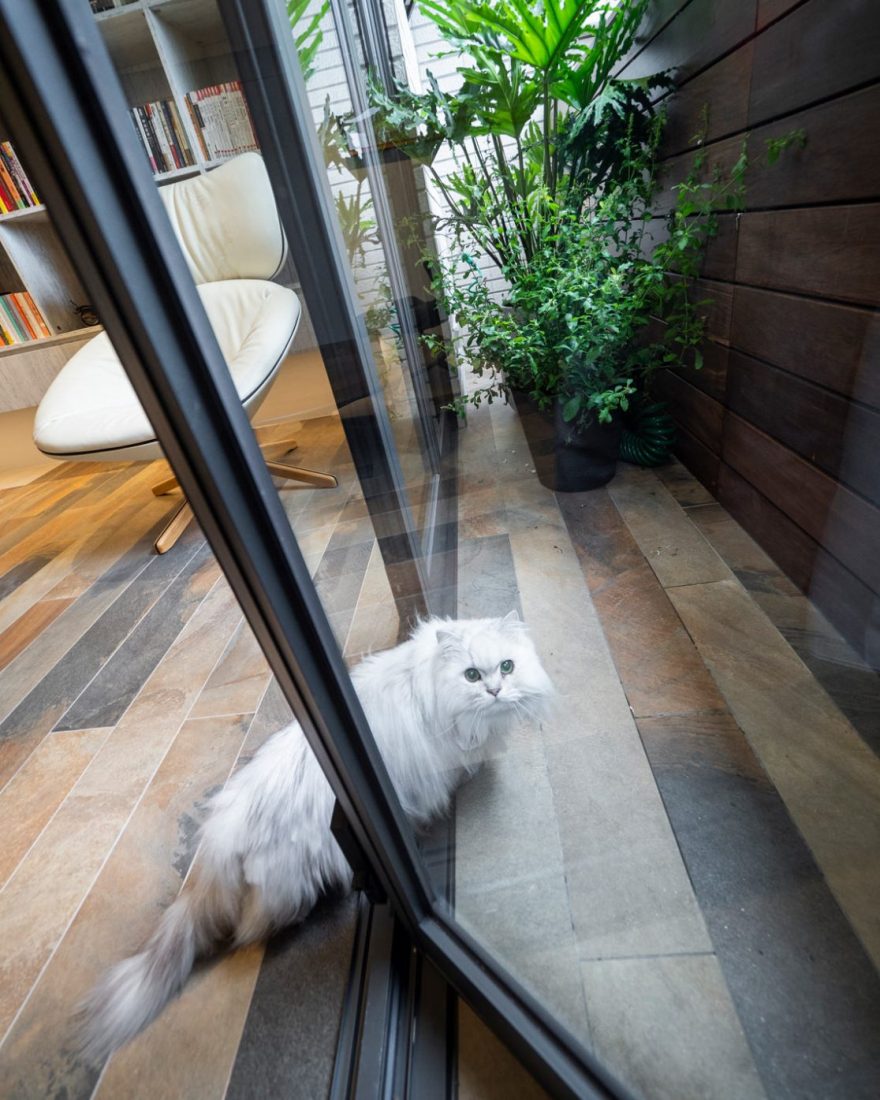 神秘学者之家-7