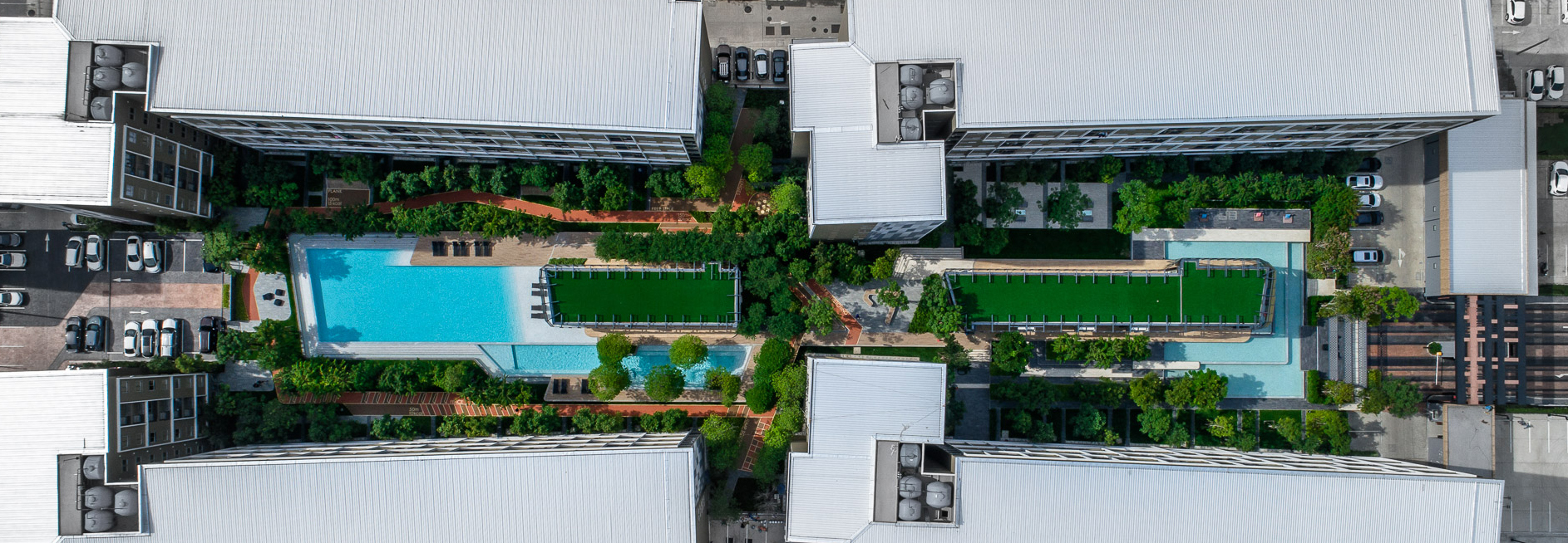 活力大区(Plum Alive)-33