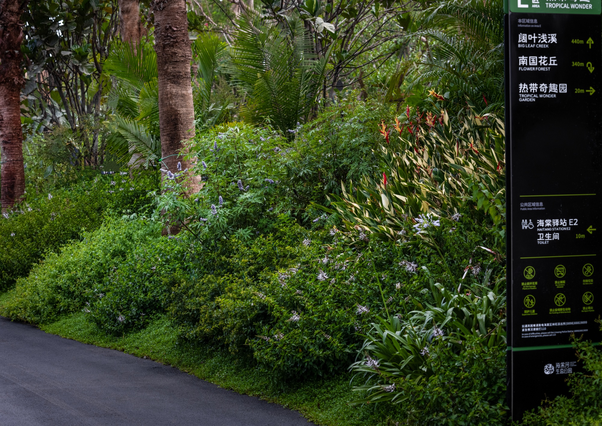 三亚海棠河生态公园（二期）·热带奇趣园丨中国三亚丨LOLA Landscape Architects B.V.-39