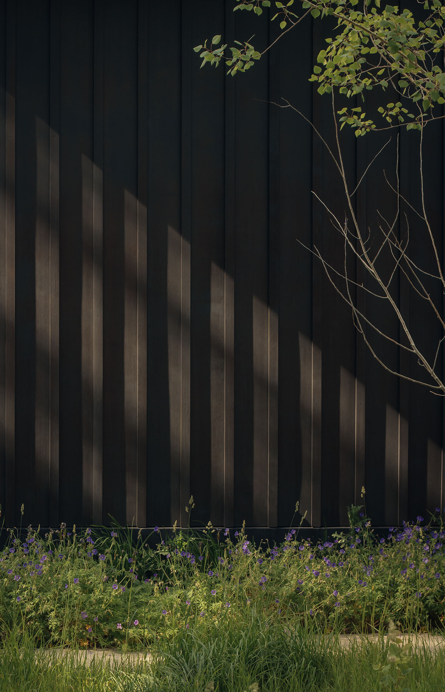 杰克逊霍尔住宅丨美国杰克逊丨McLean Quinlan-78