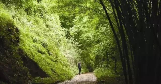 青神竹编,瓷胎竹编,道明竹编,刘氏竹编丨中国四川-126