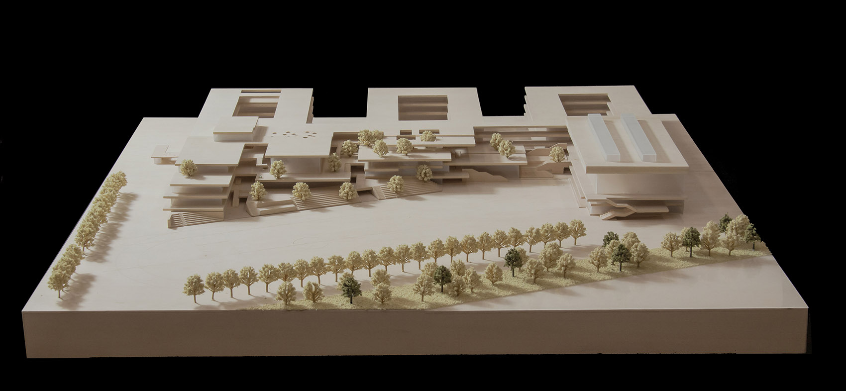 苏州科技城实验小学 / 致正建筑工作室 + 大正建筑事务所-213