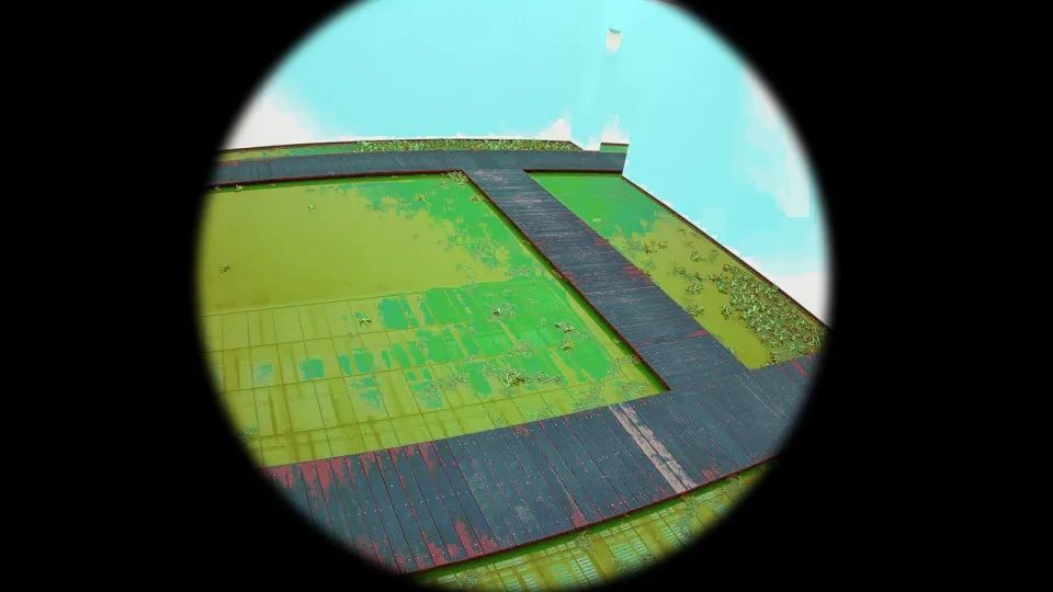 《生命》·融入自然的艺术展览丨Olafur Eliasson-59