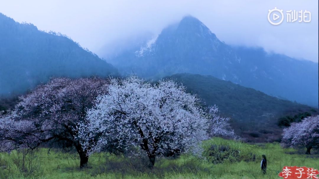 李子柒家居搭配揭秘 | 世外桃源的创意设计-27