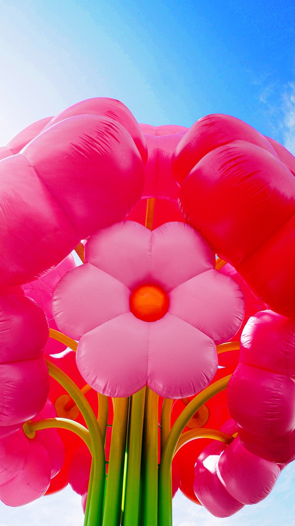 2025年科切拉艺术计划丨Public Art Company（PAC）等多位艺术家-124