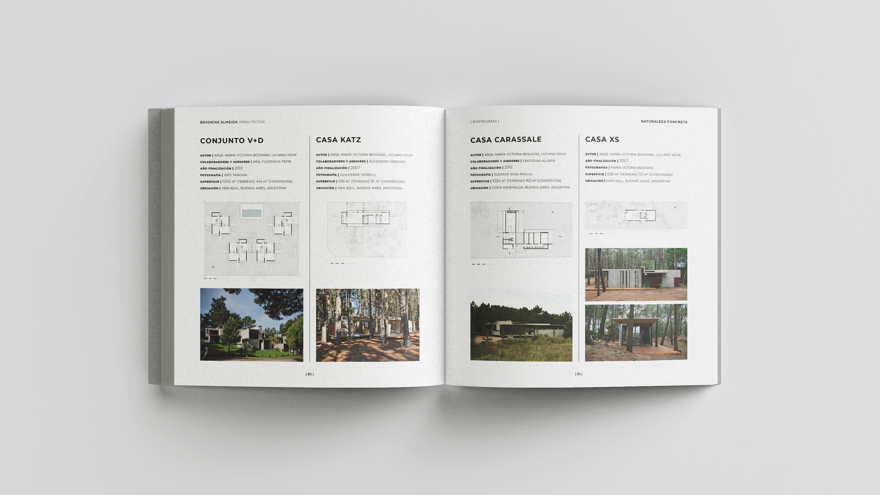 具体自然丨阿根廷-28