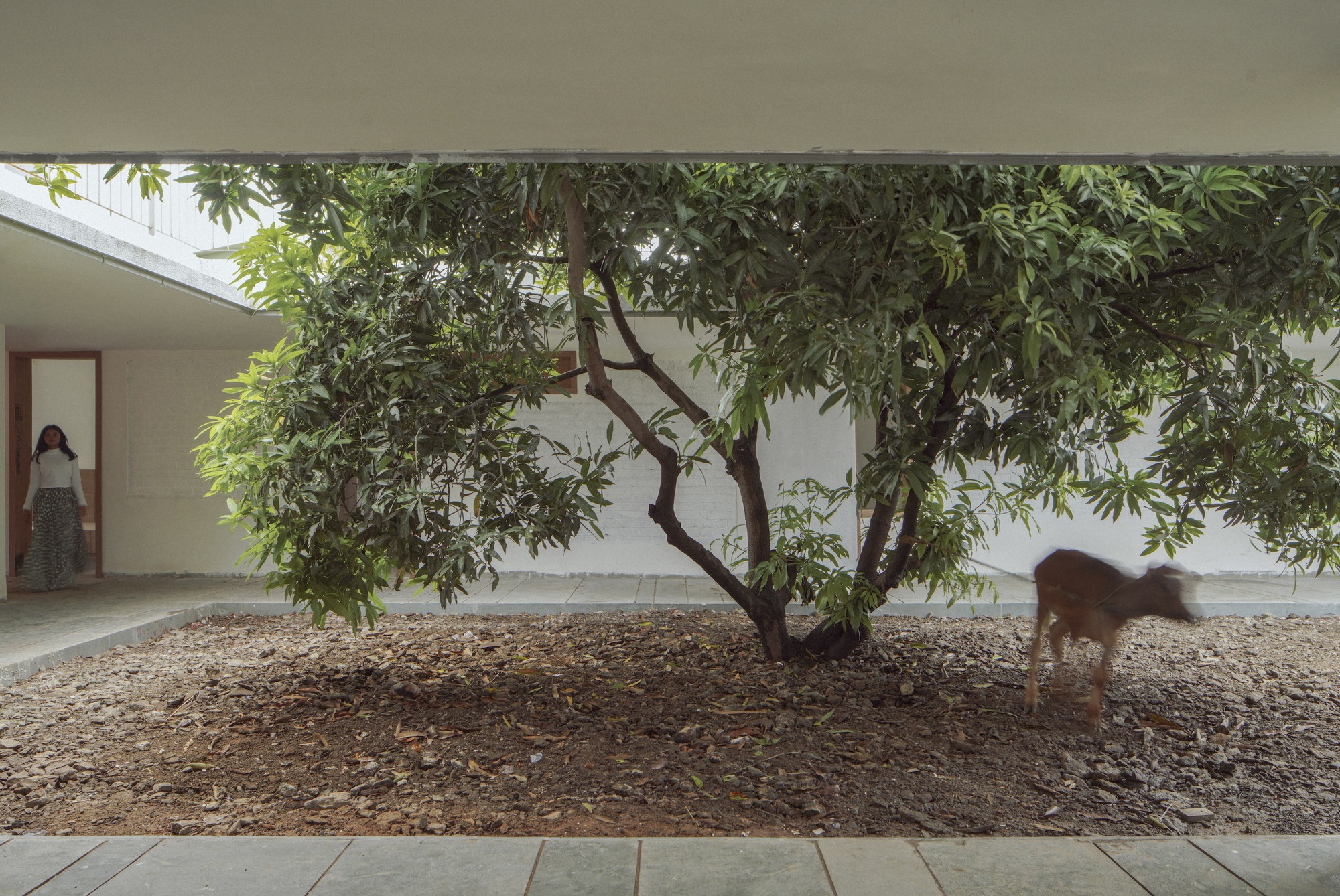 宁静之屋丨印度丨Craft Narrative-34