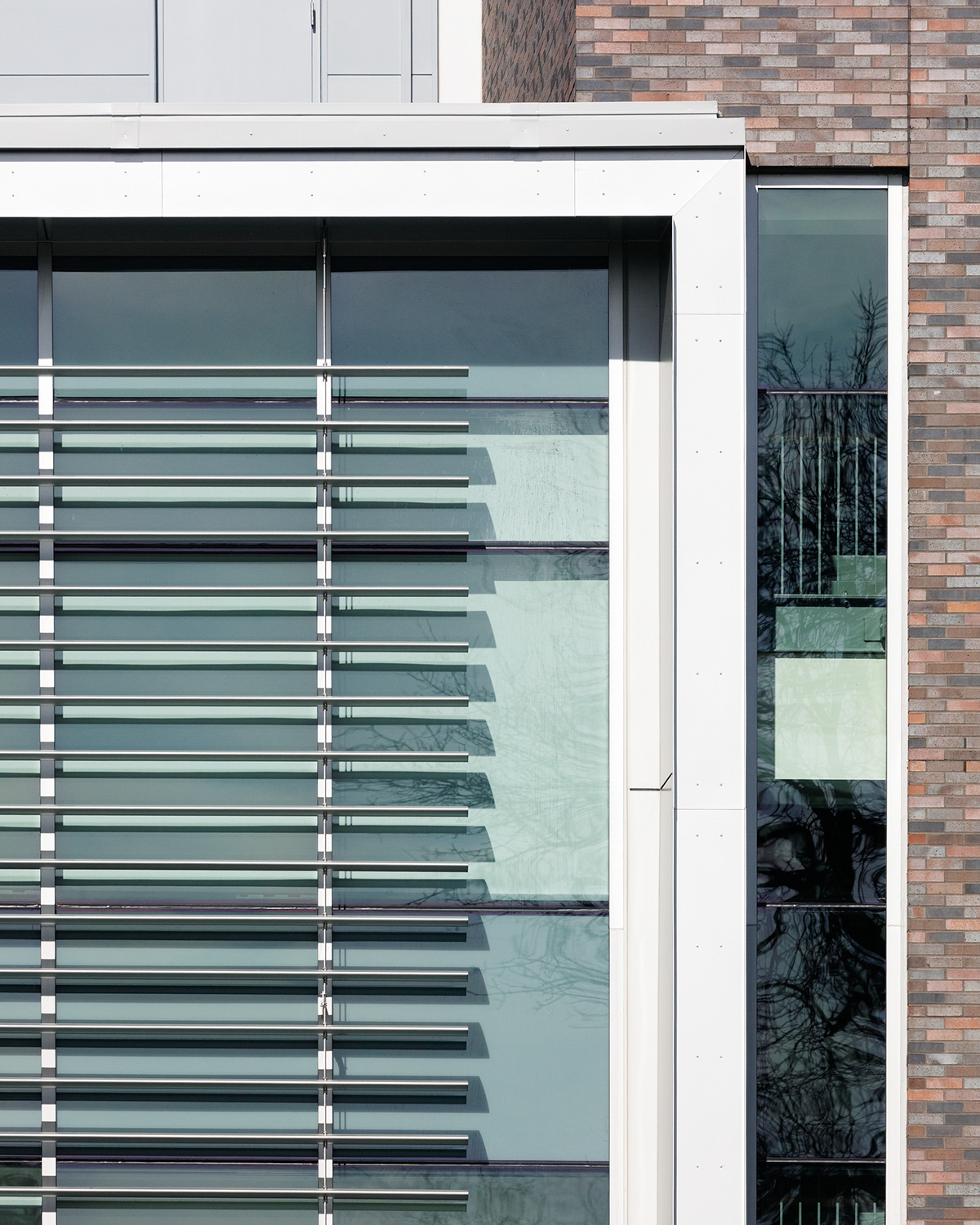 明尼苏达州 Carleton College 的 Anderson Hall-5