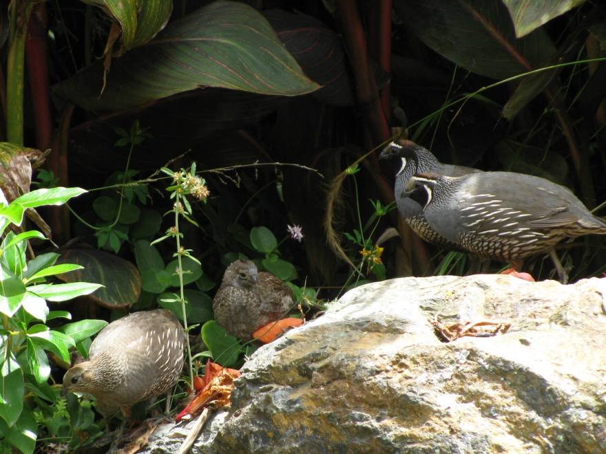 丨无相关信息-13