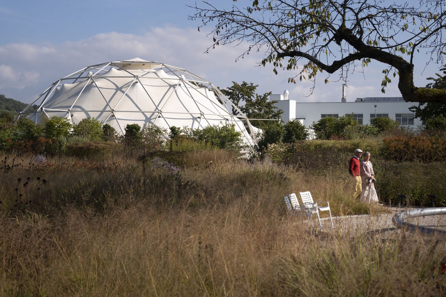 德国Vitra Oudolf花园丨Piet Oudolf-29