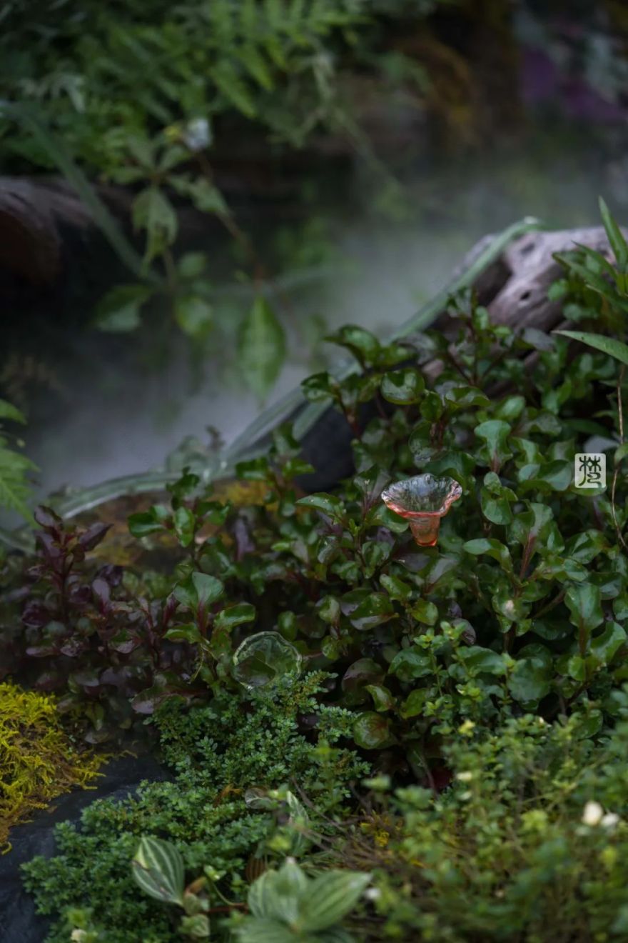 麓湖 B2 黑鉐样板岛丨中国成都丨乐道景观-105