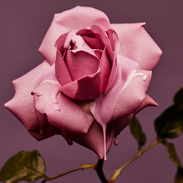 You can now buy Vicki Lee’s floral artworks online-1