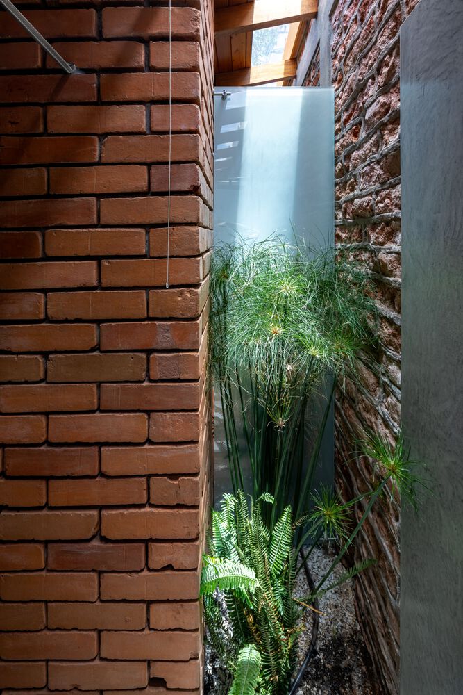 自然通风与绿植共生,治愈潮湿老宅丨El Sindicato Arquitectura-22