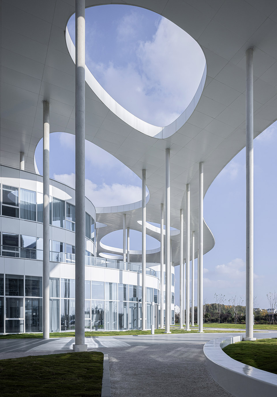 日照茶叶科创示范园丨中国日照丨孔祥伟工作室-96