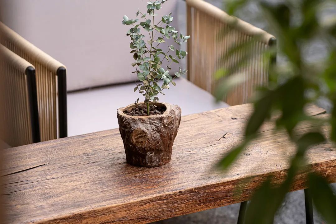 Loggia 咖啡厅丨中国上海丨Ortiz.Leon Architects-26