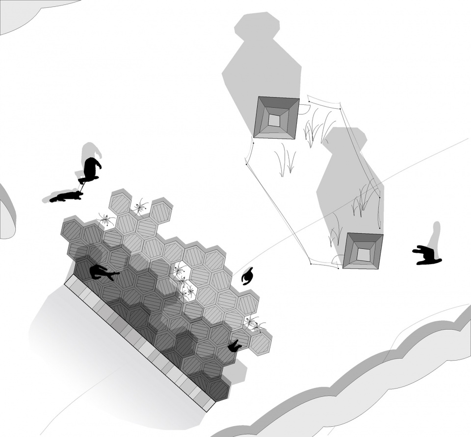 城市蜂巢 · 加拿大社区蜜蜂教育项目-40