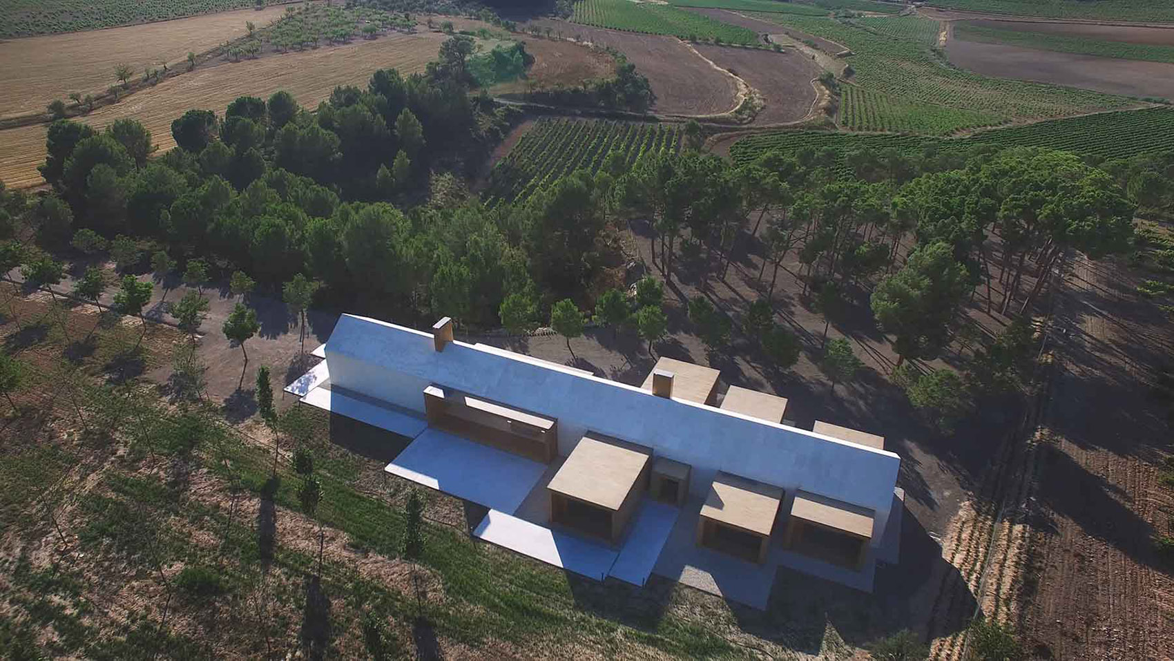 葡萄园小木屋，西班牙 / Ramón Esteve Estudio-66