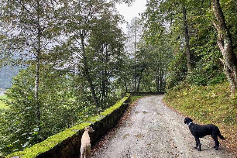 mavo gmbh丨Bondo - Neugestaltung Verbauungen Bondasca und Maira und neue Verkehrsanlagen丨瑞士-28