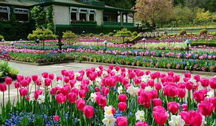 世界上最大的私家花园,迄今已有116年历史!-40