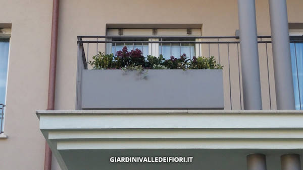 格林公园  老年人住宅花园（注：RSA在意大利语里常指Residenza per Anziani即老年人住宅，Giardino RSA可理解为与之相关的花园，但这里推测信息可能不太完整准确） 丨Giardini Valle dei Fiori的绿植专家团队-14