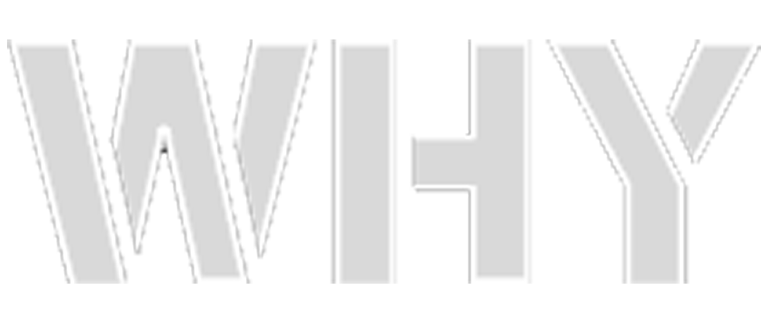 迪布曼谷

注：Dib可能是特定的人名、品牌名等专有名词，若有更具体背景信息，翻译会更精准 丨泰国曼谷丨WHY建筑工作室有限公司-68