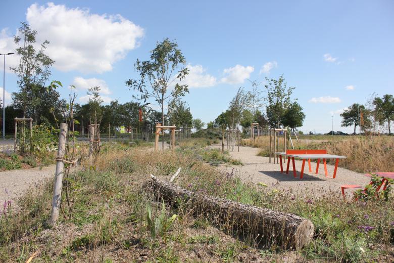 演替中的公园景观丨奥地利-6