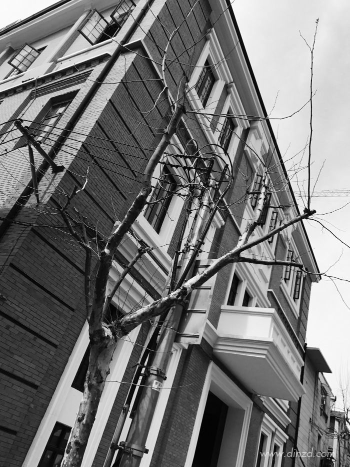 外滩琥珀大楼 | 废弃仓库的优雅重生-1