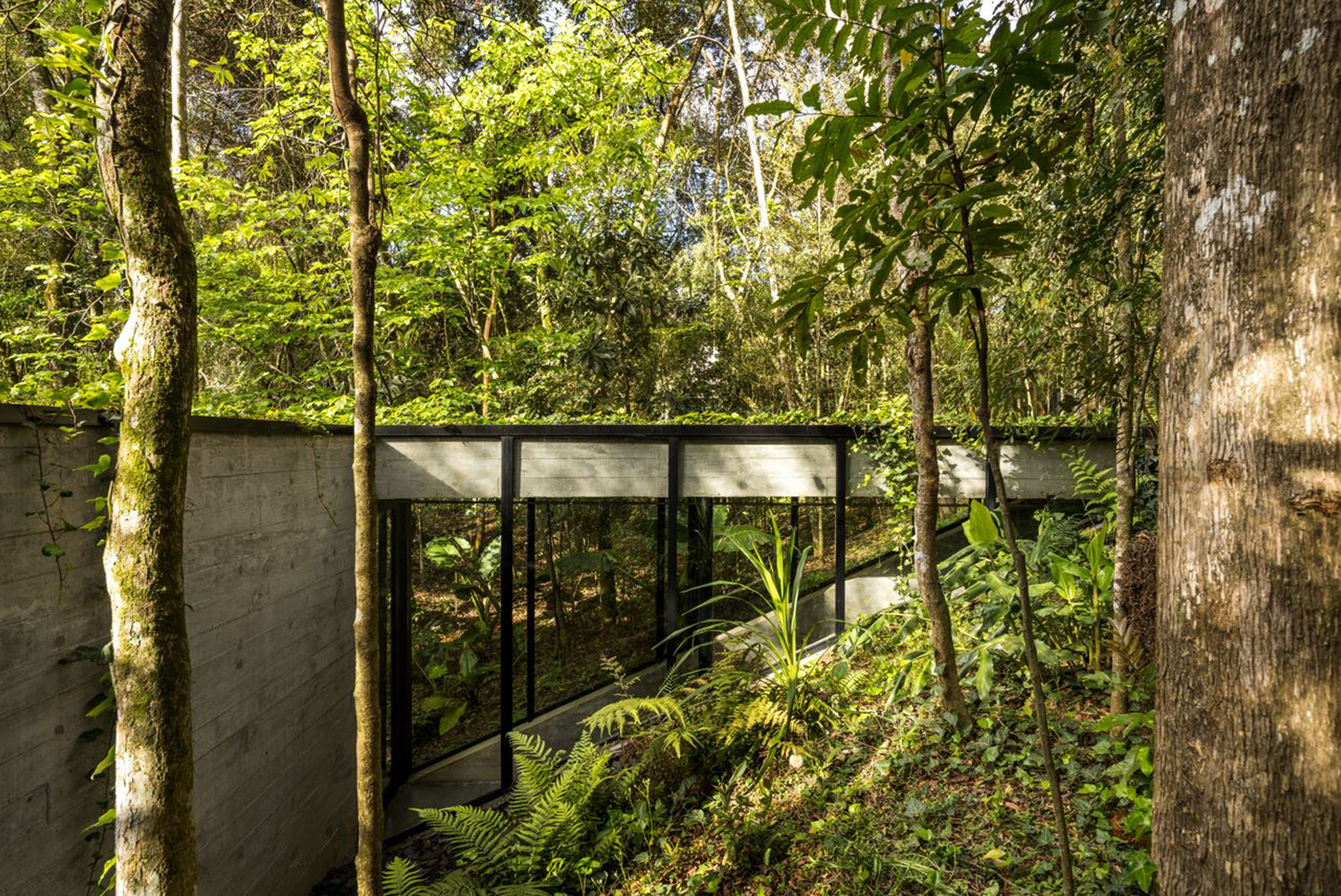 JB区17号房屋丨巴西丨Luiz Volpato Arquitetura-39