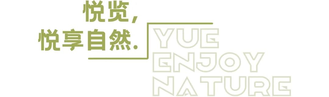 中山远洋天成营销中心丨中国中山丨IDAD 久度设计-17