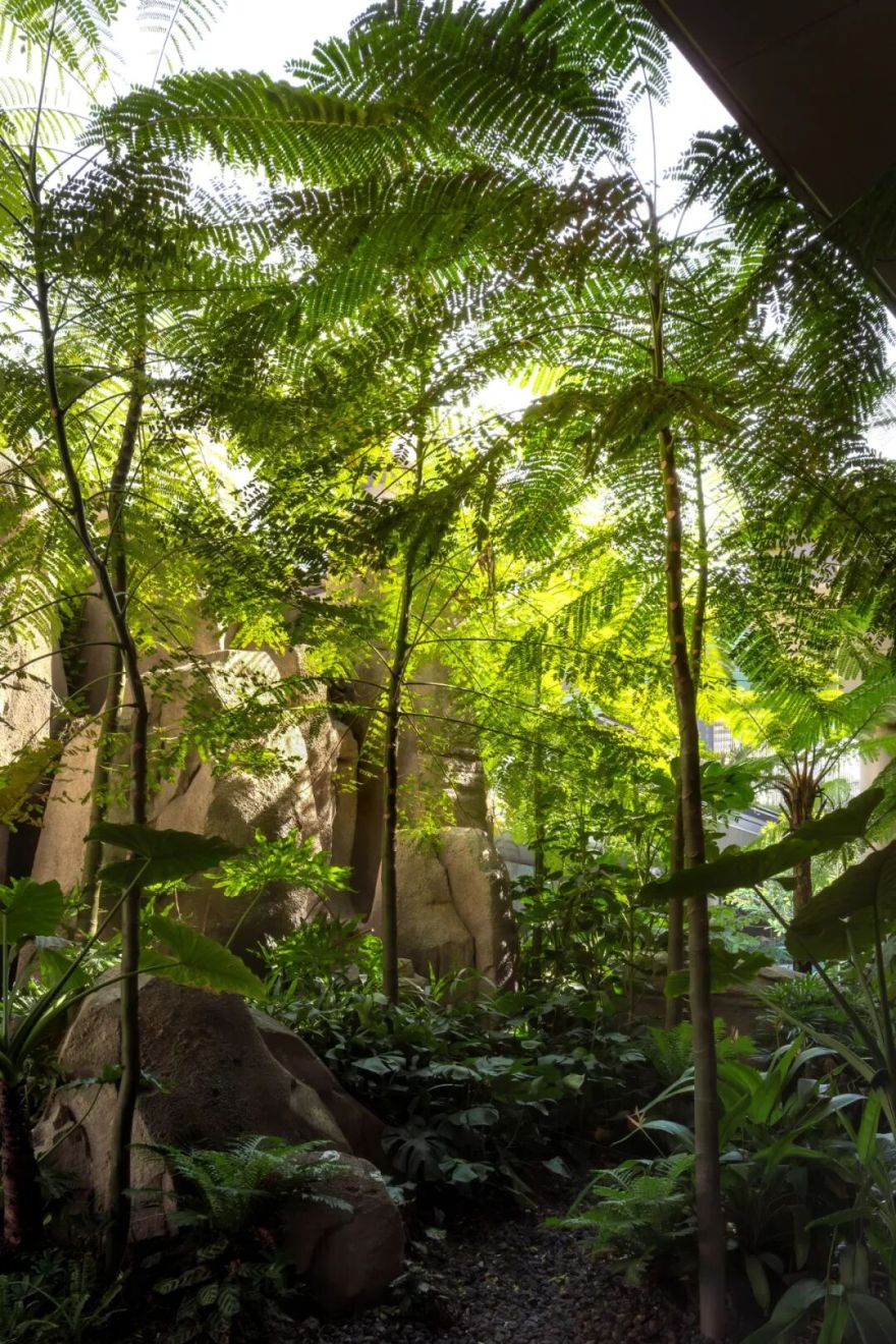 三亚缦湾丨中国三亚丨卓时设计,卓时水石-52