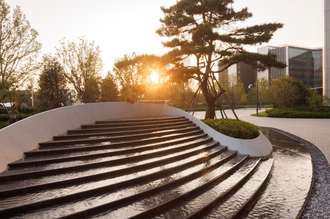 阿里巴巴北京朝阳科技园景观设计丨中国北京丨阿普贝思UP+S-67