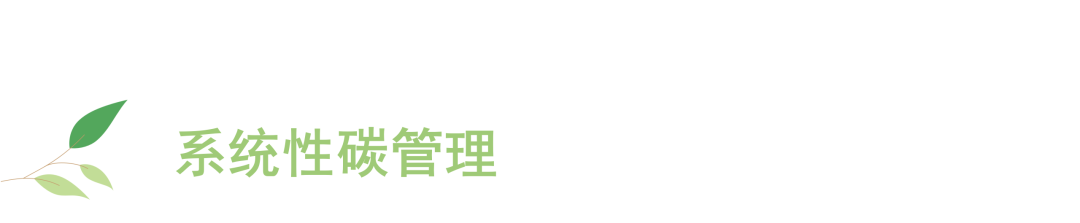 零碳先锋，越秀地产受邀参加“2025国际零碳城乡与零碳建筑大会”并作专题报告-6
